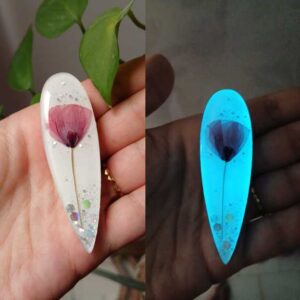 گلسر شبتاب شقایق